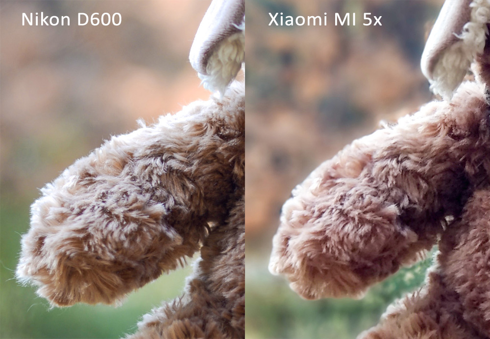 Сравнение фотографий Nikon D600 и Xiaomi Mi 5x
